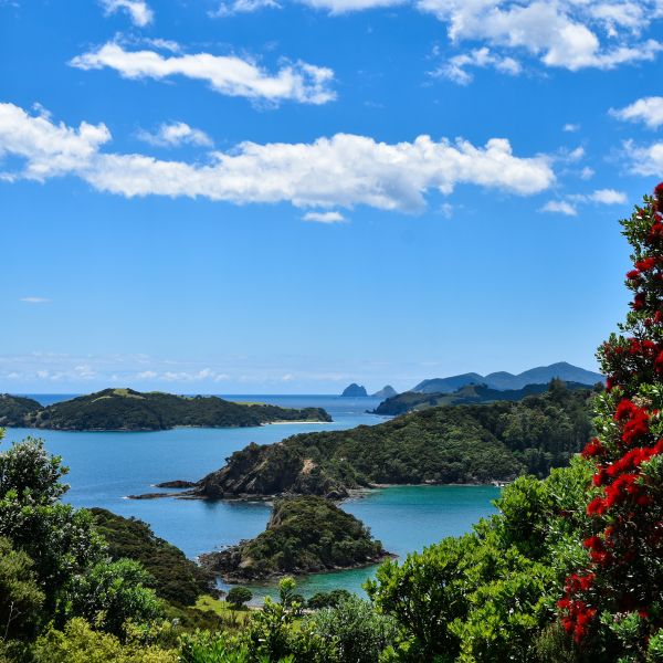 Destinations Croisières Bay Of Islands  