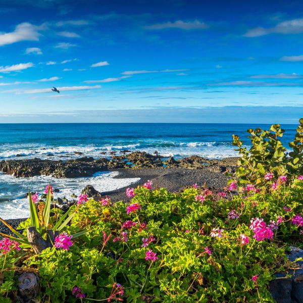 Destinations Croisières Canaries Tenerife 